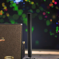 Haut-parleur audio professionnel SPL élevé armoire en bois colonne de son impédance 8ohm réseau de lignes passives alimentation ca