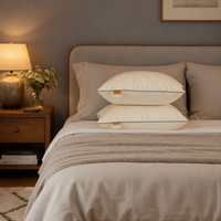 Oreillers de luxe pour la maison, housse en coton ultra-douce, oreiller respirant, oreiller d'hôtel extra moelleux en duvet d'oie