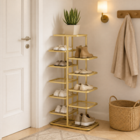 Meuble à chaussures multi-niveaux de style doré pour entrée de maison, étagère de rangement minimaliste de petite taille, grande capacité pour intérieur