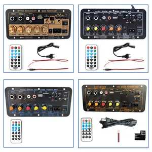 D10 BT Amplificador Microfone Duplo Amplificadores de Karaoke Amplificador Subwoofer 12V Mono AC220V Para 6-12 Polegada Alto-falantes