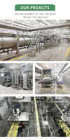 Volledig automatische industriële productielijn voor diepvriesfrieten, roestvrijstalen aardappelverwerkingsinstallatie met turnkey service
