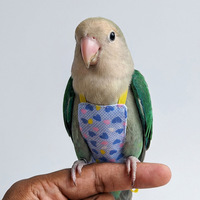 Offres spéciales : Couche respirante et lavable pour oiseaux de compagnie, adorable pour perroquets et pigeons, combinaison de vol pour oiseaux