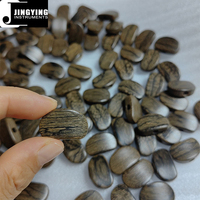 Jingying Usine En Gros Haut De Gamme Ziricote Matériel Guitare Tuning Pegs Tuners Machine Têtes Remplacement Boutons Boutons Poignée