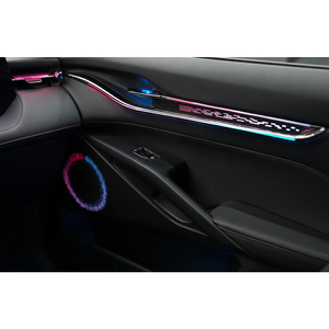 Kit d'éclairage d'ambiance intérieur professionnel pour Ford Mondeo/EVOS 2022-2025, fabricant de lampes LED - Product Image 2