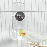 Vente en gros de mangeoires à oiseaux, abreuvoirs pour perroquets, distributeurs d'aliments pour pigeons et stéringues, bols transparents pour abreuvoir automatique pour oiseaux