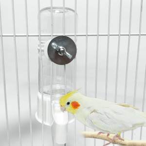 Tempat Makan Burung Grosir, Tempat Minum Burung Beo, Tempat Makan Merpati dan Burung Pipit, Dispenser Makanan Transparan untuk Tempat Minum dan Makan Burung Otomatis - Product Image 6