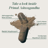 Suministro OEM ODM de Marca Privada: Complejo Natural de Ashwagandha, Melena de León, Reishi y Cordyceps para Adultos - Adaptógeno Nootrópico Mental