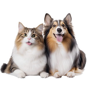 Mesin <span class=keywords><strong>Ultrasound</strong></span> dokter hewan portabel sonosape untuk dokter hewan Bovine Equineul Trasound <span class=keywords><strong>Machine</strong></span> untuk kuda - Product Image 4