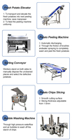 Machine à fabriquer des chips de pommes de terre entièrement automatique CoApex, acier inoxydable 304 de qualité alimentaire, capacité de 100 à 200 kg/h, qualité Zhucheng améliorée