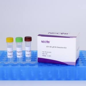 Kit de test qPCR rapide pour les étranglements (S. equi) chez les animaux équins-Haute sensibilité et spécificité - Product Image 4