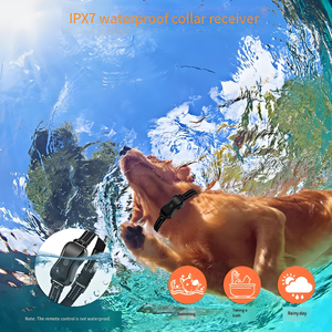 <span class=keywords><strong>Collar</strong></span> de entrenamiento para perros multifunción con vibración de sonido, modos estáticos, pantalla digital remota, rango de 1000M, diseño personalizable - Product Image 4