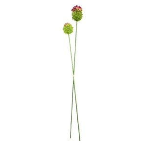 Tallos Dobles de Ajo Artificial de 73 cm, Tallos de Ajo Simulados para Decoración de Interiores, Venta al por Mayor - Product Image 2
