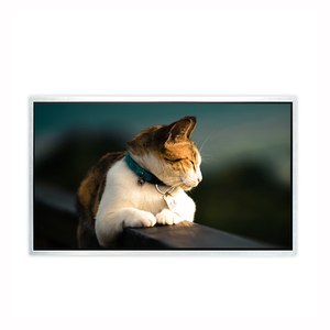 21.5 inch 1920x1080 FHD IPS TFT LCD hiển thị 30pins LVDS DVI VGA giao diện tùy chỉnh cảm ứng TV LCD màn hình Màn hình - Product Image 1