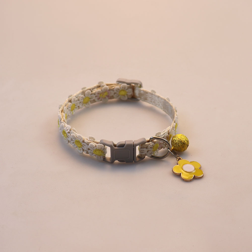 4 สีสันสดใส