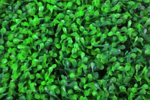 نباتات زخرفية معلقة صناعية عالية الجودة الأعلى مبيعًا في ديكور جدار النبات