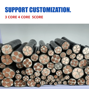 YJV Standard di nucleo di rame cavo, industriale <span class=keywords><strong>2</strong></span>/<span class=keywords><strong>3</strong></span>/4/5 Core, 10/16/25/35 quadrato, <span class=keywords><strong>3</strong></span>-fase di ricarica esterna cavo pila - Product Image 5
