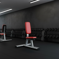 Banc de musculation utilitaire plat réglable, style moderne, entraîneur de sit-up