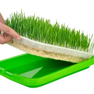 Factory sell Hydroponic Seedling Tray automatic Seeds Sprout for vegetable