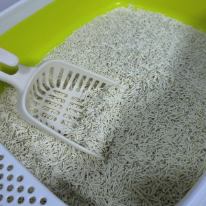 <span class=keywords><strong>Litière</strong></span> <span class=keywords><strong>pour</strong></span> <span class=keywords><strong>chat</strong></span> Tofu Déodorant <span class=keywords><strong>litière</strong></span> de tofu au lait sans poussière Kitten House spécial mélange à la hausse <span class=keywords><strong>litière</strong></span> <span class=keywords><strong>pour</strong></span> <span class=keywords><strong>chat</strong></span> - Product Image 1