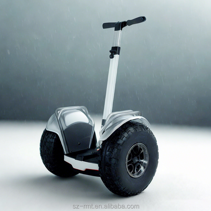 China Segway Guangdong Original Electric Two-Wheel Scooters