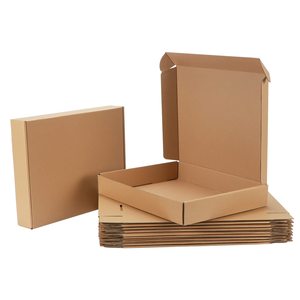 Brown Corrugated Cardboard Literature Mailer Shipping Box for Business