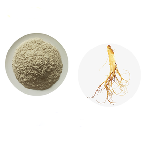 Заводской высококачественный натуральный растительный экстракт-чистый экстракт женьшеня, корень и стебель, порошок | Пищевые гинсенозиды/панаксоиды - Product Image 2