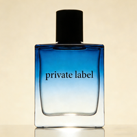 Parfum de Cologne pour homme de luxe, senteur boisée, 100 ml, vaporisateur longue durée, parfum de créateur personnalisé pour un usage quotidien