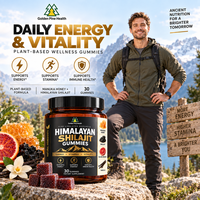Gummies de Shilajit 30 unités pour adultes, les plus vendues – Complément énergétique naturel OEM pour le bien-être quotidien