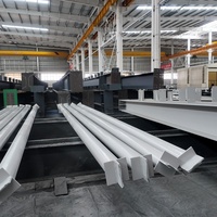 Estructura de Acero Prefabricada de Bajo Costo, Estructura de Acero Personalizada, Construcción de Estructura de Acero para Fábrica