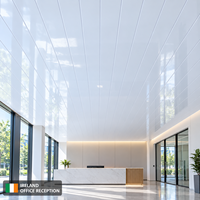 Panneau de plafond en PVC blanc brillant, lisse et décoratif, pour projets intérieurs commerciaux (bureaux, hôtels) - Vente en gros
