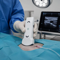 Échographe vétérinaire sans fil portable, sonde d'échographie manuelle pour chien, chat, animaux d'élevage, contrôle de la gestation