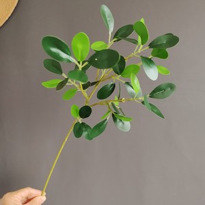 สเปรย์ <span class=keywords><strong>Ficus</strong></span> สีเขียวมันวาวเทียมใบใบ <span class=keywords><strong>Ficus</strong></span> สีเขียวแบบเต็มตัว - Product Image 3