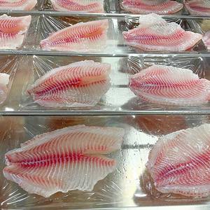 Filete de Tilapia de Primera Calidad, Pescado y Mariscos, IQF - Product Image 5