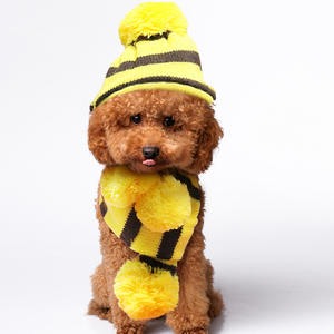 Pet automne hiver chat Teddy chiot Costume accessoires vêtements arc-en-ciel trois pièces ensemble chien écharpe pied couverture chien chapeau - Product Image 3