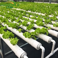 Structure de serre agricole pour tomates/laitues avec système hydroponique, certification CE