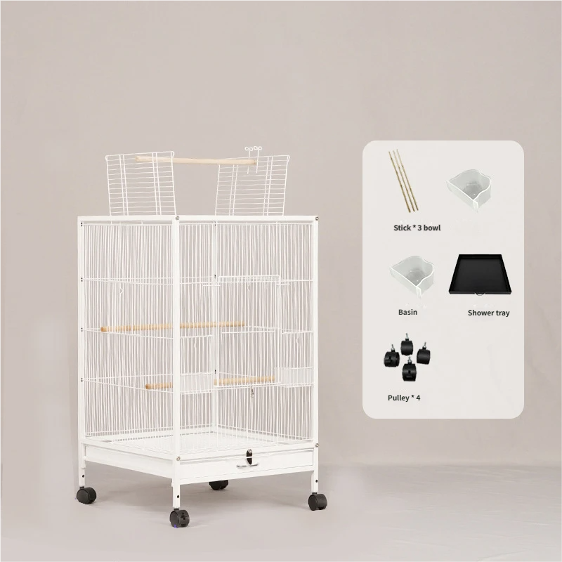 white(B03)