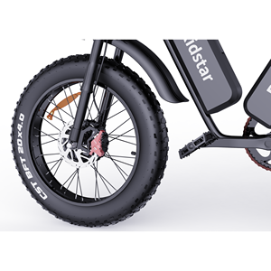 Bicicleta Eléctrica de Nieve con Llantas Gruesas de 20 Pulgadas, 48V 500W 1000W 1500W 18Ah 23AH, Suspensión Completa, Bicicleta Eléctrica Urbana Retro Ligera, RTS 2025 - Product Image 2
