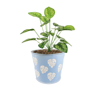 Décoration de balcon extérieur et intérieur logo gaufré personnalisé fleur en métal zingué pot seau petit jardin planteur pots de décoration d'herbes