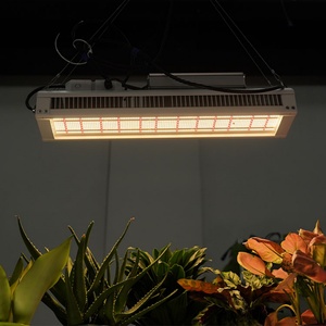 Luces LED de Espectro Completo T8 de 320W-650W a Prueba de Agua para Sistemas de Cultivo Hidropónico de Fresas - Product Image 1