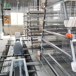 Jaulas para <span class=keywords><strong>Gallinas</strong></span> Ponedoras Tipo A, Alta Resistencia, Semiautomáticas, Personalizables para Granjas Avícolas Comerciales, Se Acepta OEM - Product Image 3