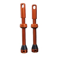 Valve universelle Presta/Schrader sans chambre à air 40 mm avec noyau de valve amovible et capuchon fonctionnel – Accessoires de vélo légers et durables