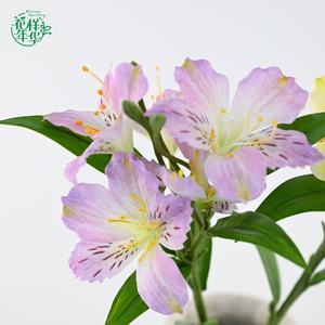 <span class=keywords><strong>Fleur</strong></span> artificielle en soie de qualité supérieure <span class=keywords><strong>Alstroemeria</strong></span> Peruvian Lily 62 cm pour la décoration intérieure, les bouquets de mariage, la Saint-Valentin, les arrangements de Pâques - Product Image 4