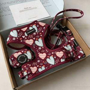 2026 Valentine's Day New Arrival Design Multi Color Custom Printed Adjustable No Pull Pet Dog Harness Leash Lead Collar Set