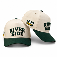 Casquette de baseball brodée personnalisée, bicolore beige et vert, broderie 3D en relief, coton, 6 panneaux, réglable, casquette de sport, golf, unisexe