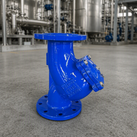 Filtre en Y à raccordement à bride DN100 PN16 en fonte ductile GGG50 avec tamis amovible époxy bleu pour conduites d'eau de process