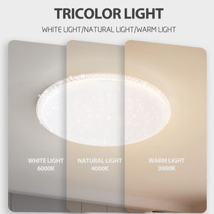 Forma rotonda bianco/3 colori LED plafoniera nuova moderna per sala interna AC220V 30 W/40W/60W/72W/96W 270mm/370mm/470mm PC 30 bianco - Product Image 5