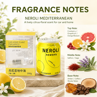 Désodorisant Solide Naturel Écologique à la Néroli Méditerranéenne, Longue Durée, Double Usage Voiture & Maison, Marque Blanche en Gros
