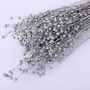 Taidian — <span class=keywords><strong>fleurs</strong></span> d'acacia <span class=keywords><strong>séchées</strong></span> naturelles, vente en gros, vraies perles, <span class=keywords><strong>séchées</strong></span>, vente en gros, B0170 - Product Image 6