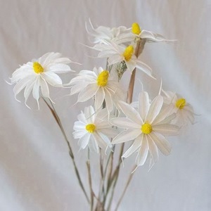 Fleur préservée DIY avec matériaux multicolores Dancing Lady Orchid en stock en gros à bas prix - Product Image 1