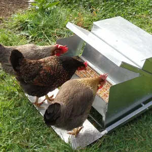 Serviço Fabricação Chapas Metálicas Alimentador De Frango Alimentadores E Bebedores De Aves De Metal De Aço Inoxidável De Ferro De Alumínio De Frango